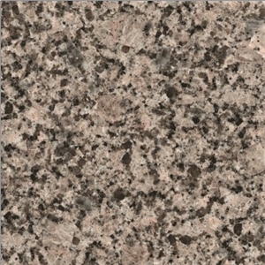 Vozrozhdenie Granite Tiles, Russian Federation Grey Granite
