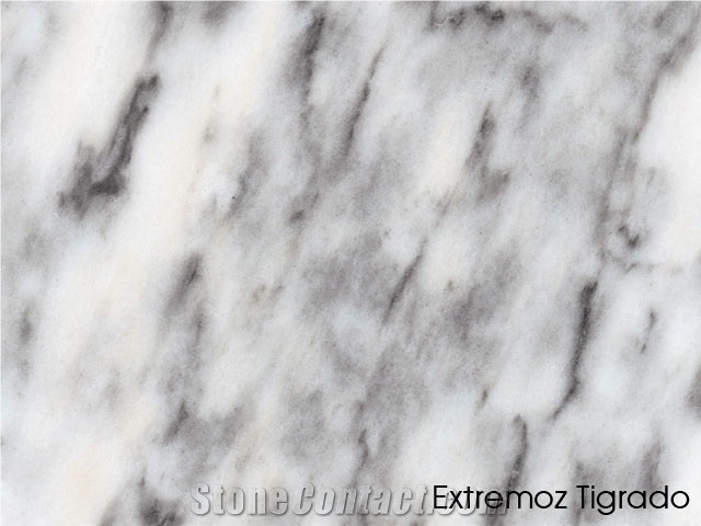 Extremoz Tigrado, Portugal Grey Marble Slabs & Tiles