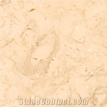 Galilee Golden Vein, Israel Yellow Limestone Slabs & Tiles