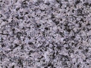 Bisha Violet Granite Tile, Imported Granite