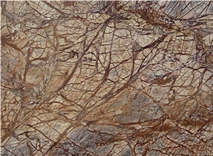 Rainforest Brown Marble Slabs, India Brown Marble