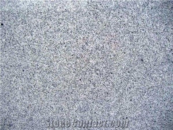 China Sesame White Granite Floor Tiles