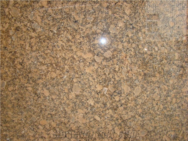 Giallo Veneziano Fiorito Granite Tiles, Brazil Yellow Granite