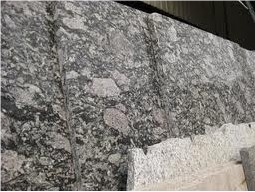 Oyster Pearl Granite Slabs, India Grey Granite