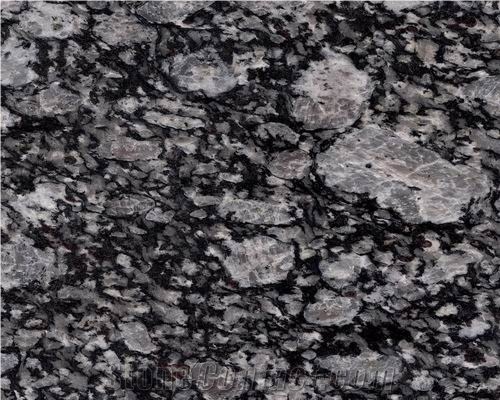 Oyster Pearl Granite Slabs, India Grey Granite