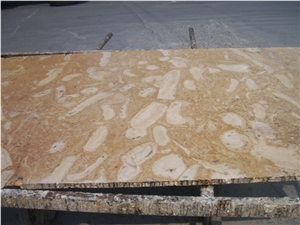 Seashell Coral Stone, Seashell Stone Limestone Tiles
