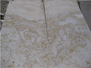 Seashell Stone