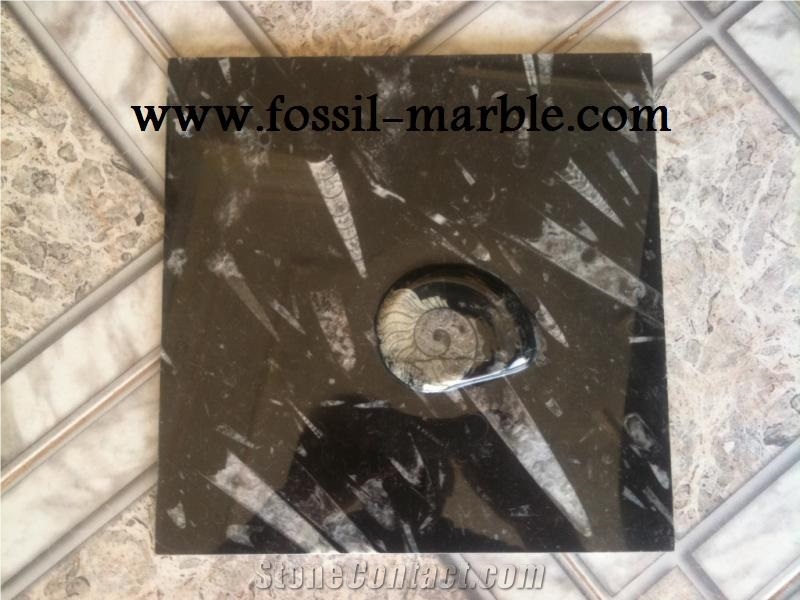 Black Slab Fossilized Marble Morocco, Moroccan Fossile Black Marble Slabs