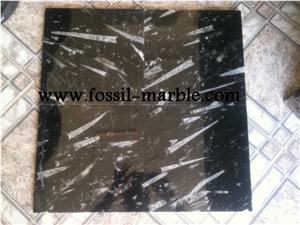Black Slab Fossilized Marble Morocco, Moroccan Fossile Black Marble Slabs