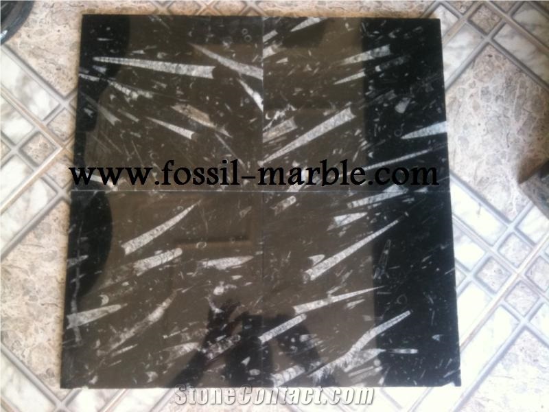 Moroccan Fossile Black, Fossile Nero Black Limestone Slabs