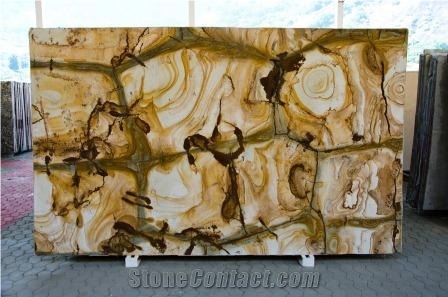 Palomino Quartzite Slabs, Stone Wood Quartzite