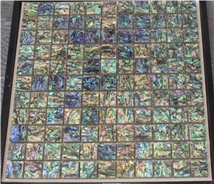 Abalone Lip Mop Shell Mosaics Tiles