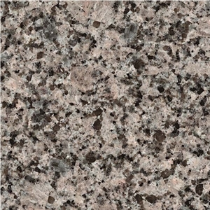 Vozrojdenie - (Vozrozhdenie), Russian Federation Grey Granite Slabs & Tiles