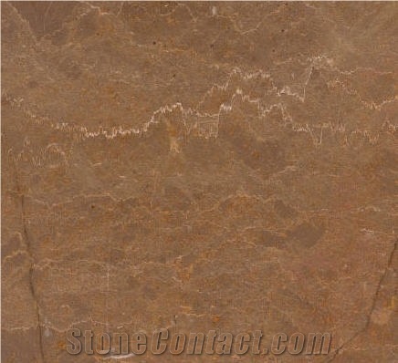 Negev Brown, Israel Brown Limestone Slabs & Tiles