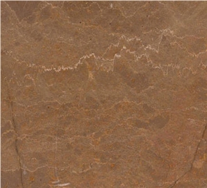 Negev Brown, Israel Brown Limestone Slabs & Tiles
