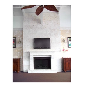 Light Classic Coral Stone Fireplace, Classic White Coral Fireplace Mantel