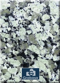 Gris Conquistador Granite Slabs, Spain Grey Granite
