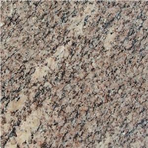 Giallo Santa Cecilia Granite Tile,Imported Granite