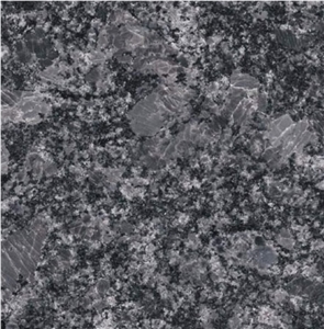 Silver Pearl Granite Slabs, India Grey Granite