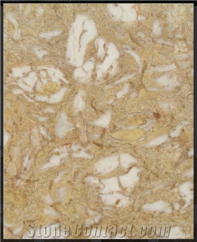 Shells Reef Caramel, Syria Yellow Limestone Slabs & Tiles