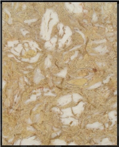 Shells Reef Caramel, Syria Yellow Limestone Slabs & Tiles
