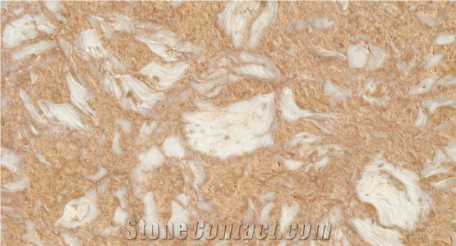 Shells Reef Pink, Syria Pink Limestone Slabs & Tiles