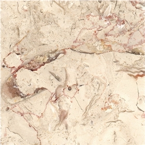 Hebron White, Israel White Limestone Slabs & Tiles