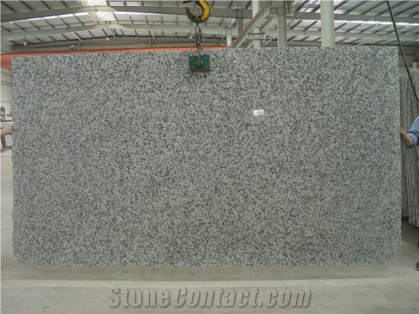 G439 Granite Big Slabs, China White Granite