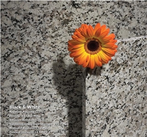 Imis Black & White, Imis Black ,White Granite Slabs