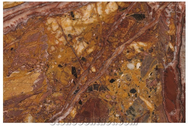 Breche Meduse (brecha Medusa ), Limestone Slabs