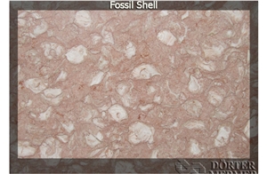 Fossil Shell, Turkey Pink Limestone Slabs & Tiles