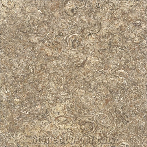 Purbeck Burr, United Kingdom Brown Limestone Slabs & Tiles