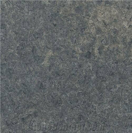 Purbeck Leining Vein - Purbeck Green, United Kingdom Blue Limestone Slabs & Tiles