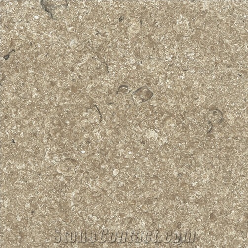 Purbeck Roach, United Kingdom Brown Limestone Slabs & Tiles