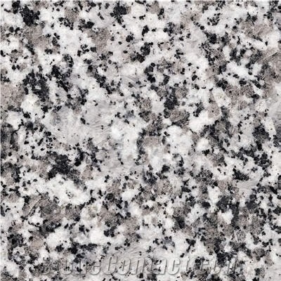 Blanco Rafaela, Spain White Granite Slabs & Tiles