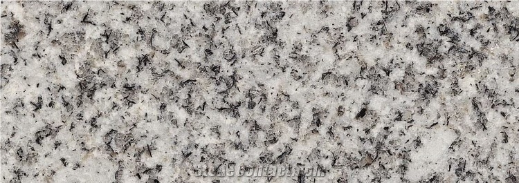 Blanco Serena Slabs, Spain Grey Granite