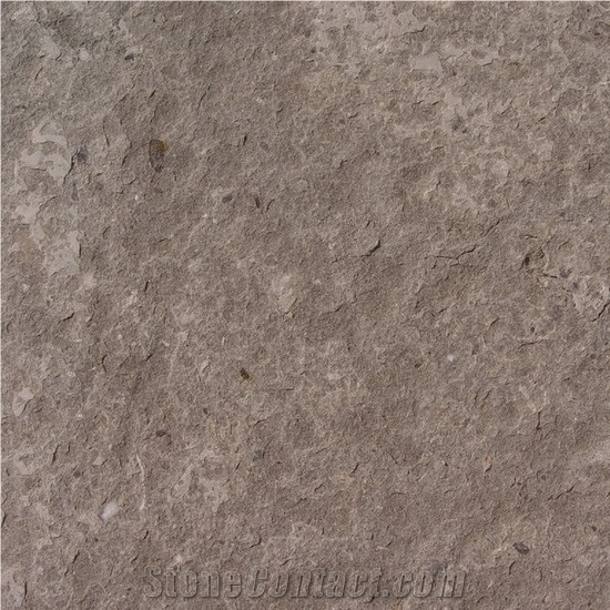 Caliza San Vicente, Spain Grey Limestone Slabs & Tiles