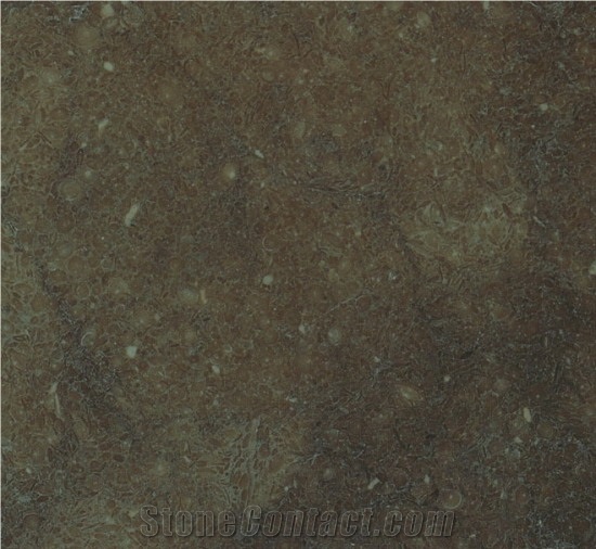 Gris San Vicente, Spain Grey Limestone Slabs & Tiles