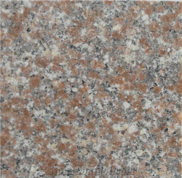 G368 Wulian Red Granite, G368 China Red Granite Tiles & Slabs for Walling & Flooring Cover