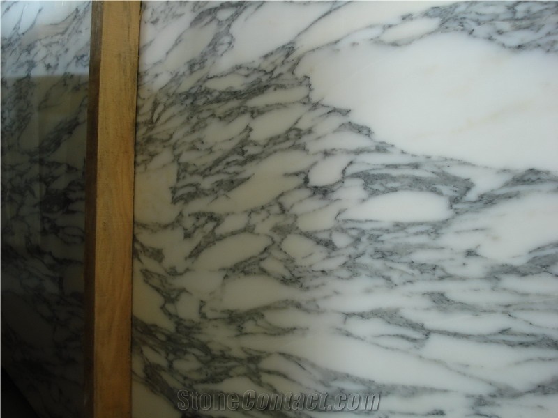 China Factory Direct Arabescato Marble Slab, Italian Calacatta White Marble Skirting, Floorng Tiles and Wall Claddings for Building Projects