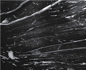 Black Marble with White Vein