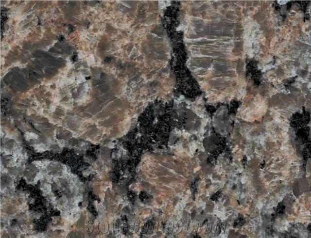 Polychrome, Canada Brown Granite Slabs & Tiles