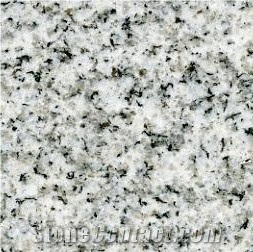 Bianco Argento Granite Tiles, China Grey Granite