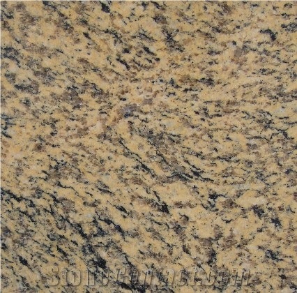 Tiger Skin Yellow Granite Slab