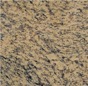 Tiger Skin Yellow Granite Slab