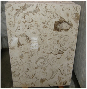 Fossillized Marble, Partavoosi Marble Slabs
