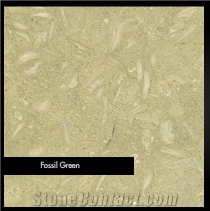 Fossil Green, Sea Grass ,seagrass Green Limestone Slabs