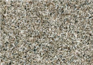 Lyangar Grey, Uzbekistan Grey Granite Slabs & Tiles