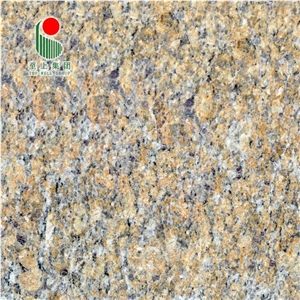 Natural Stone Granite Tiles