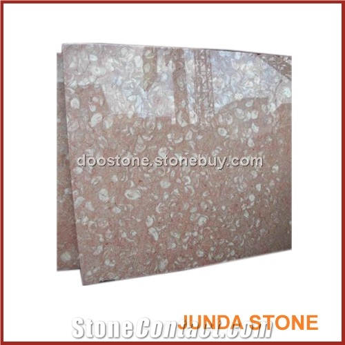 Jude Shell Marble Slabs